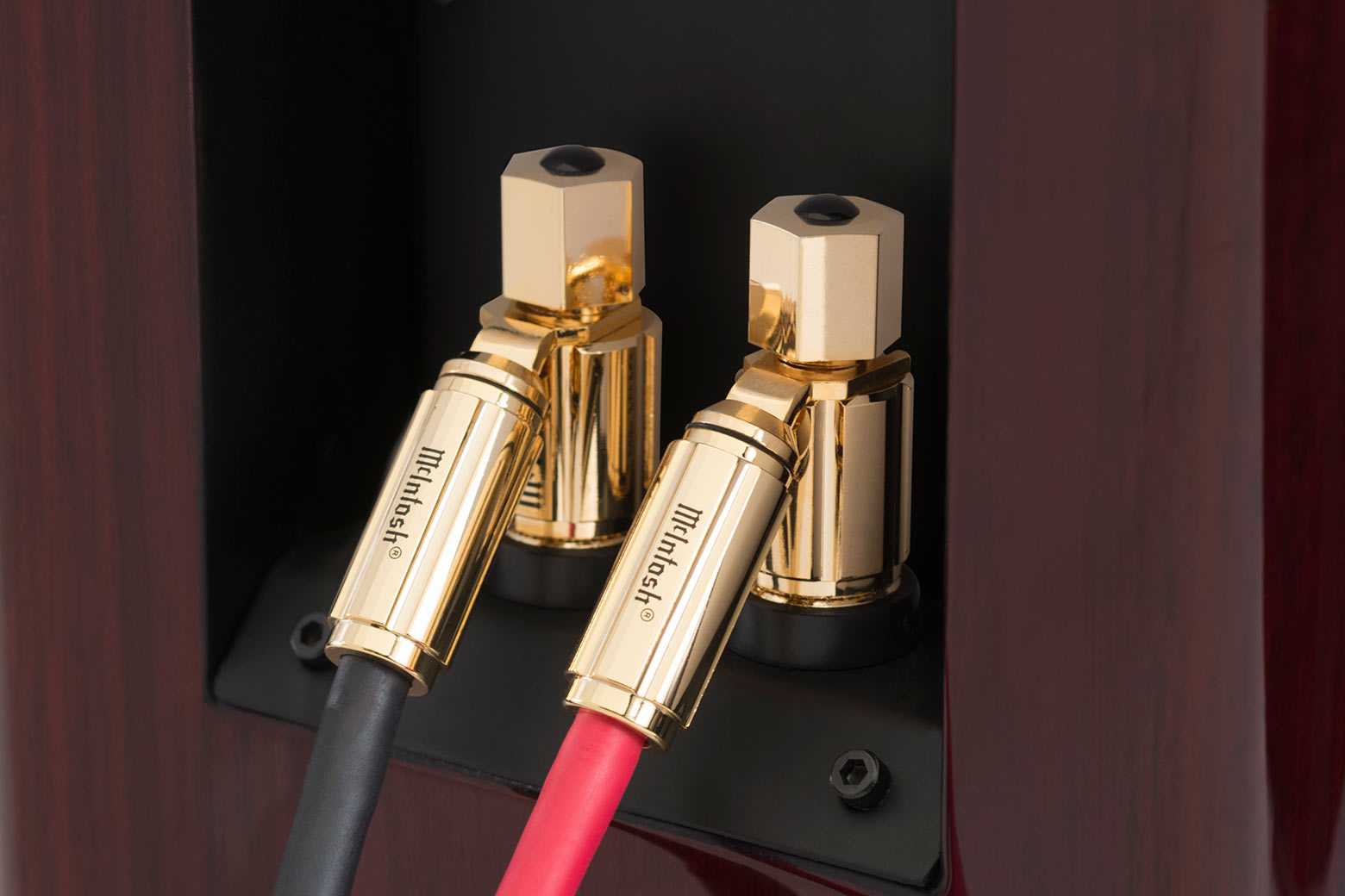 McIntosh LCR80 Speaker